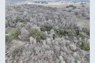 752 Lassman Road, Goliad, TX 77963 - Photo 6