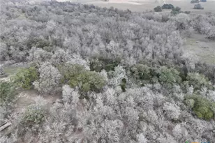 752 Lassman Rd, Goliad, TX 77963 - Photo 6