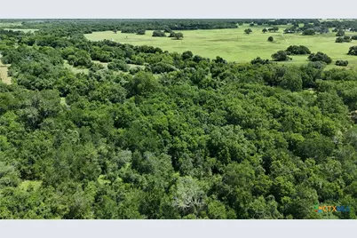 752 Lassman Road, Goliad, TX 77963 - Photo 8