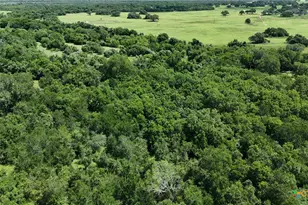752 Lassman Rd, Goliad, TX 77963 - Photo 8