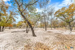 690 Cherry Ridge, Floresville, TX 78114 - Photo 22