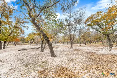 690 Cherry Ridge, Floresville, TX 78114 - Photo 16