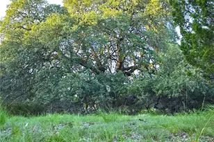 725 Cr 206, Burnet, TX 76811 - Photo 4