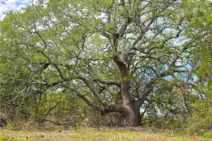 725 Cr 206, Burnet, TX 76811 - Photo 2