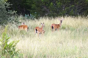 725 Cr 206, Burnet, TX 76811 - Photo 20