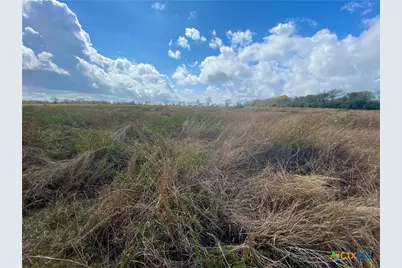 17.96 Acres County Road 457, La Ward, TX 77970 - Photo 14