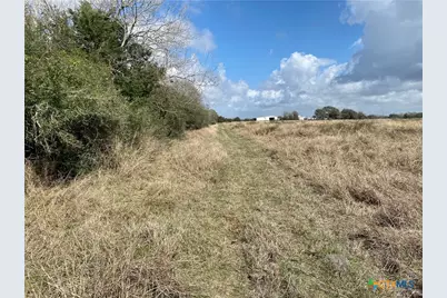17.96 Acres County Road 457, La Ward, TX 77970 - Photo 4