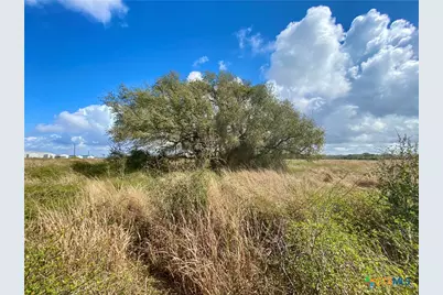 17.96 Acres County Road 457, La Ward, TX 77970 - Photo 10