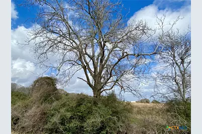 17.96 Acres County Road 457, La Ward, TX 77970 - Photo 16