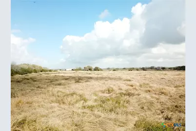 17.96 Acres County Road 457, La Ward, TX 77970 - Photo 2