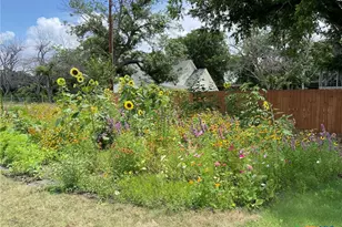 162 Friedens Church Rd, Seguin, TX 78155 - Photo 22