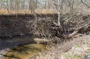 5672 FM86, Luling, TX 78648 - Photo 36