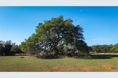 2444 Purgatory Road, New Braunfels, TX 78132 - Photo 24