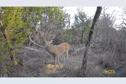 360 Cr 632, Hamilton, TX 76531 - Photo 6