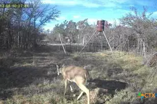 360 Cr 632, Hamilton, TX 76531 - Photo 34