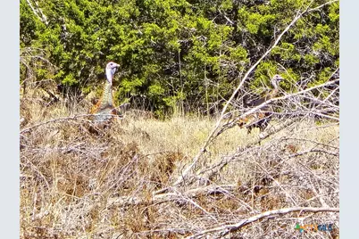 740 Cr 206, Lampasas, TX 76550 - Photo 12