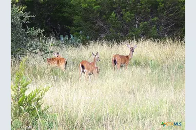 740 Cr 206, Lampasas, TX 76550 - Photo 2