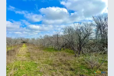 1118 Cr 447, Waelder, TX 78959 - Photo 12