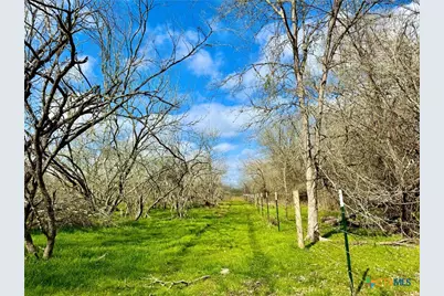 1118 Cr 447, Waelder, TX 78959 - Photo 14