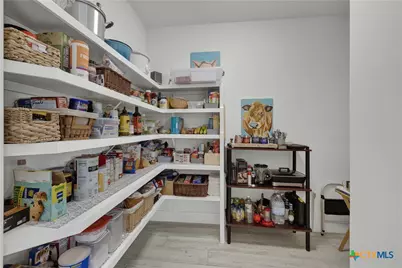 1799 Lakeside Drive, Canyon Lake, TX 78133 - Photo 20