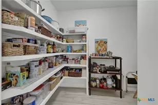 1799 Lakeside Dr, Canyon Lake, TX 78133 - Photo 20