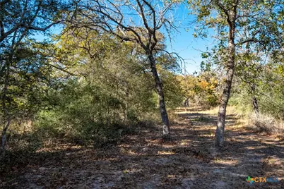 12851 Fm 1117, Seguin, TX 78155 - Photo 20