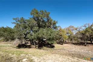 12851 FM1117, Seguin, TX 78155 - Photo 18