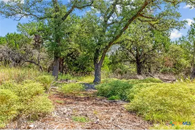 8390 Mountain Drive, Salado, TX 76571 - Photo 8