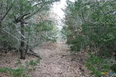 8729 E Fm 20, Dale, TX 78616 - Photo 6