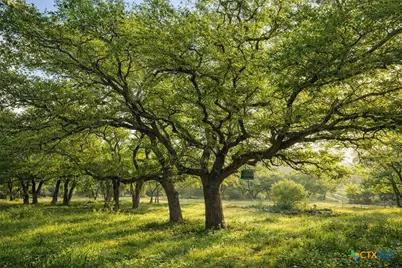 232 Crooked Oak Lane, Round Mountain, TX 78663 - Photo 44