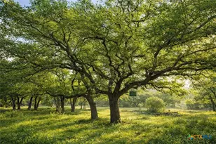 232 Crooked Oak Ln, Round Mountain, TX 78663 - Photo 44