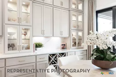 507 Tricia Court, Liberty Hill, TX 78642 - Photo 24