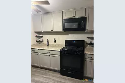 2917 Willow Loop, Kempner, TX 76539 - Photo 8