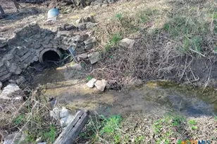 2917 Willow Loop, Kempner, TX 76539 - Photo 12