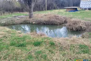 2917 Willow Loop, Kempner, TX 76539 - Photo 4