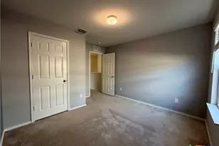 323 Mistflower, New Braunfels, TX 78130 - Photo 20