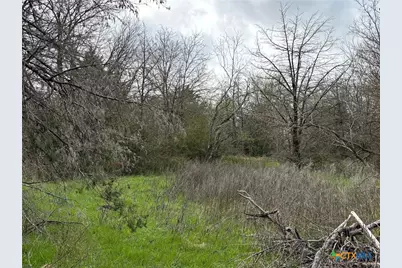 Tbd Lcr 666, Kosse, TX 76653 - Photo 8