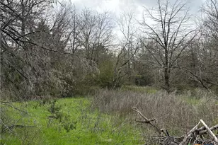 Tbd Lcr 666, Kosse, TX 76653 - Photo 8