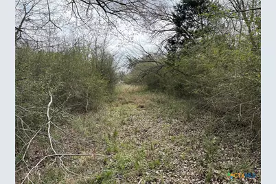 Tbd Lcr 666, Kosse, TX 76653 - Photo 6