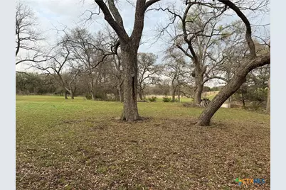 110 Guadalupe Drive, Oglesby, TX 76561 - Photo 32