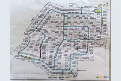 110 Guadalupe Drive, Oglesby, TX 76561 - Photo 44