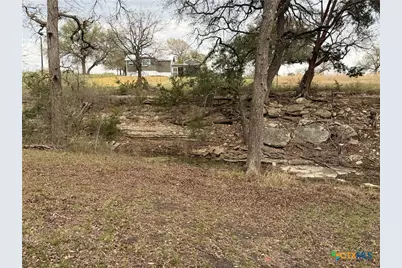 110 Guadalupe Drive, Oglesby, TX 76561 - Photo 34