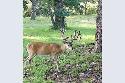 110 Guadalupe Drive, Oglesby, TX 76561 - Photo 42