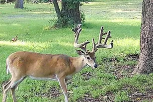 110 Guadalupe Dr, Oglesby, TX 76561 - Photo 42