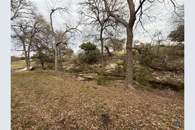 110 Guadalupe Drive, Oglesby, TX 76561 - Photo 34