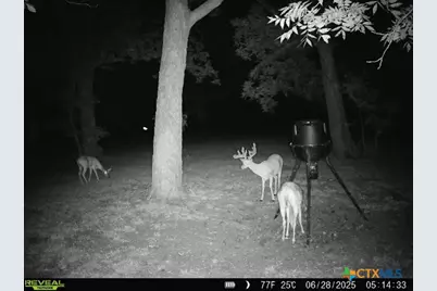 110 Guadalupe Drive, Oglesby, TX 76561 - Photo 40