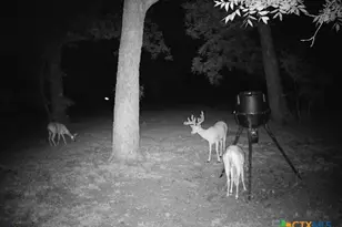 110 Guadalupe Dr, Oglesby, TX 76561 - Photo 40