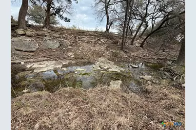 110 Guadalupe Drive, Oglesby, TX 76561 - Photo 20