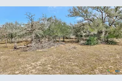 1103 Berger Road, Goliad, TX 77963 - Photo 8