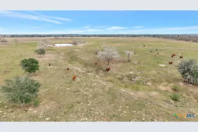 1103 Berger Road, Goliad, TX 77963 - Photo 18